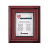 Darlington Award