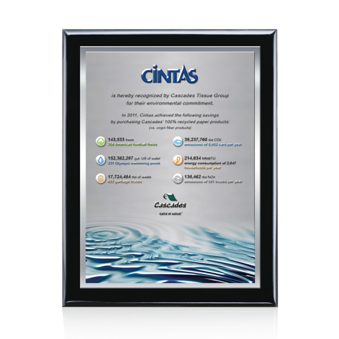 Oakleigh VividPrint™ 3D Plaque - Black/Silver