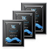 Lexicon VividPrint™ Plaque