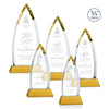 Shildon Award on Newhaven