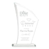 Agassi Award
