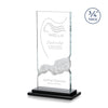 Viceroy Award