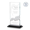 Viceroy Award