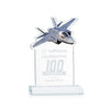 Top Gun Award