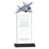 Top Gun Award