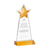 Starlite Award