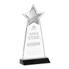 Starlite Award