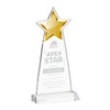 Starlite Award