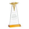 Caduceus Award