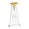 Caduceus Award