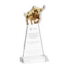Raging Bull Award