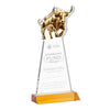 Raging Bull Award