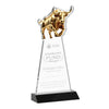 Raging Bull Award