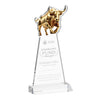 Raging Bull Award