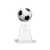 Edenwood Soccer Award