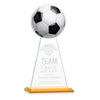 Edenwood Soccer Award