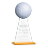 Edenwood Volleyball Award