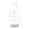 Paulson Award