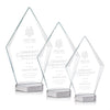 Ellicott Award