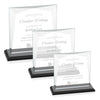 Tanner Award