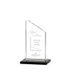 Dixon Award