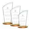 Tomkins Award