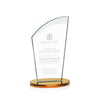Tomkins Award