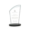 Tomkins Award