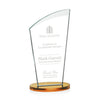 Tomkins Award