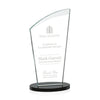 Tomkins Award