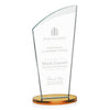 Tomkins Award