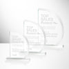 Truscott Award
