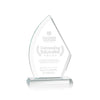 Ayrton Award