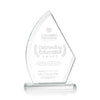 Ayrton Award