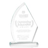 Ayrton Award