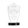 Skylark Shield Award
