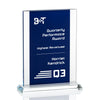 Tameside Award - Blue