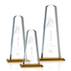 Pinnacle Award