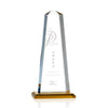 Pinnacle Award