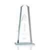 Pinnacle Award