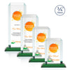 Dalton VividPrint™ Award