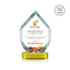 Royal Diamond VividPrint™ Award on Alberton Base
