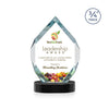 Royal Diamond VividPrint™ Award on Alberton Base