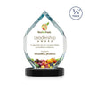 Royal Diamond VividPrint™ Award on Alberton Base