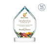 Royal Diamond VividPrint™ Award on Alberton Base