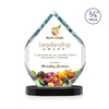 Royal Diamond VividPrint™ Award on Alberton Base