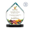 Royal Diamond VividPrint™ Award on Alberton Base