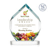 Royal Diamond VividPrint™ Award on Alberton Base