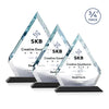 Apex VividPrint™ Award