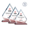 Apex VividPrint™ Award